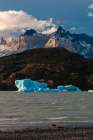 Icebergs floating in the Grey Lake with Torres del Paine in the background Ultima Esperanza-Chile Art Print